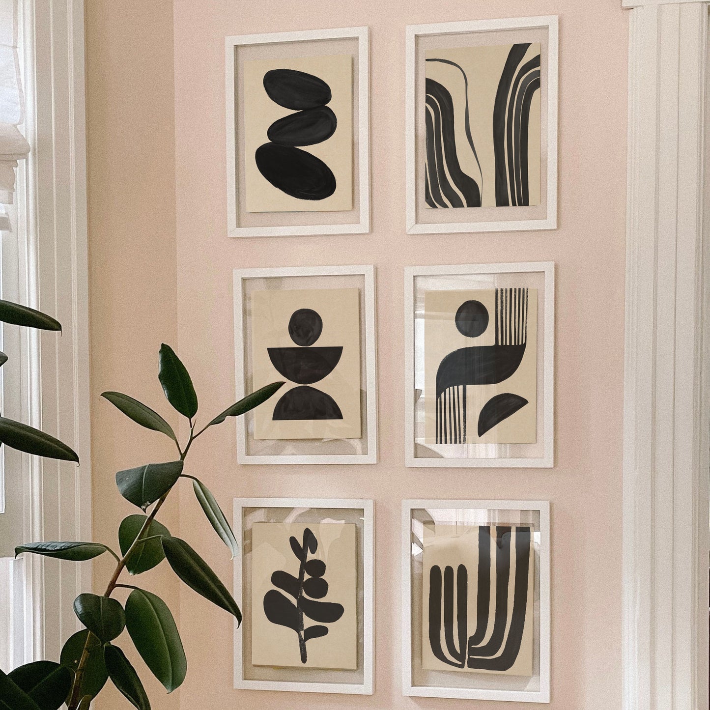Gallery wall of six framed abstract black and white artworks with a potted plant nearby.