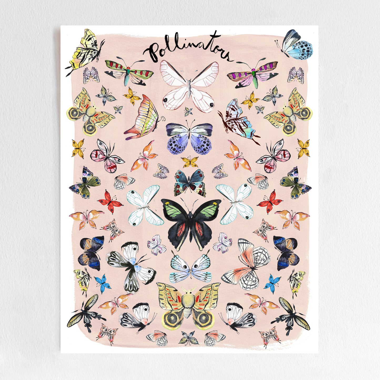 A colorful illustration of various butterflies and moths arranged in a decorative pattern on a pink background.