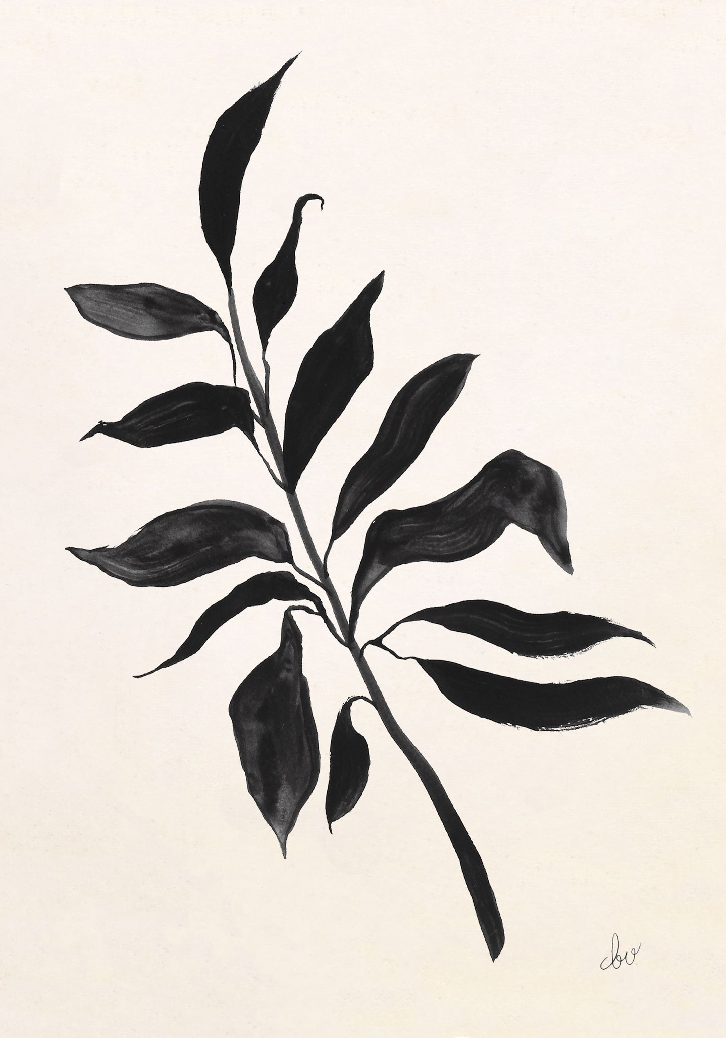 Black and white illustration of a leafy branch on a light background.