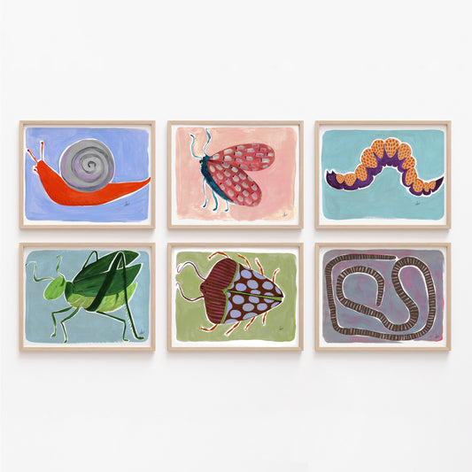 Colorful artwork depicting various insects and a snail in six framed pieces.