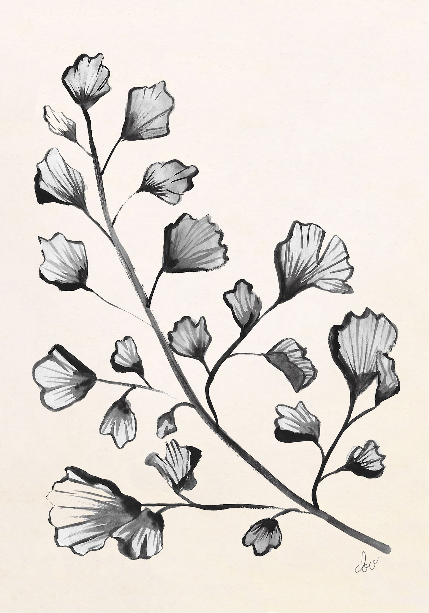 Illustration of a ginkgo biloba branch with detailed black and white leaves.
