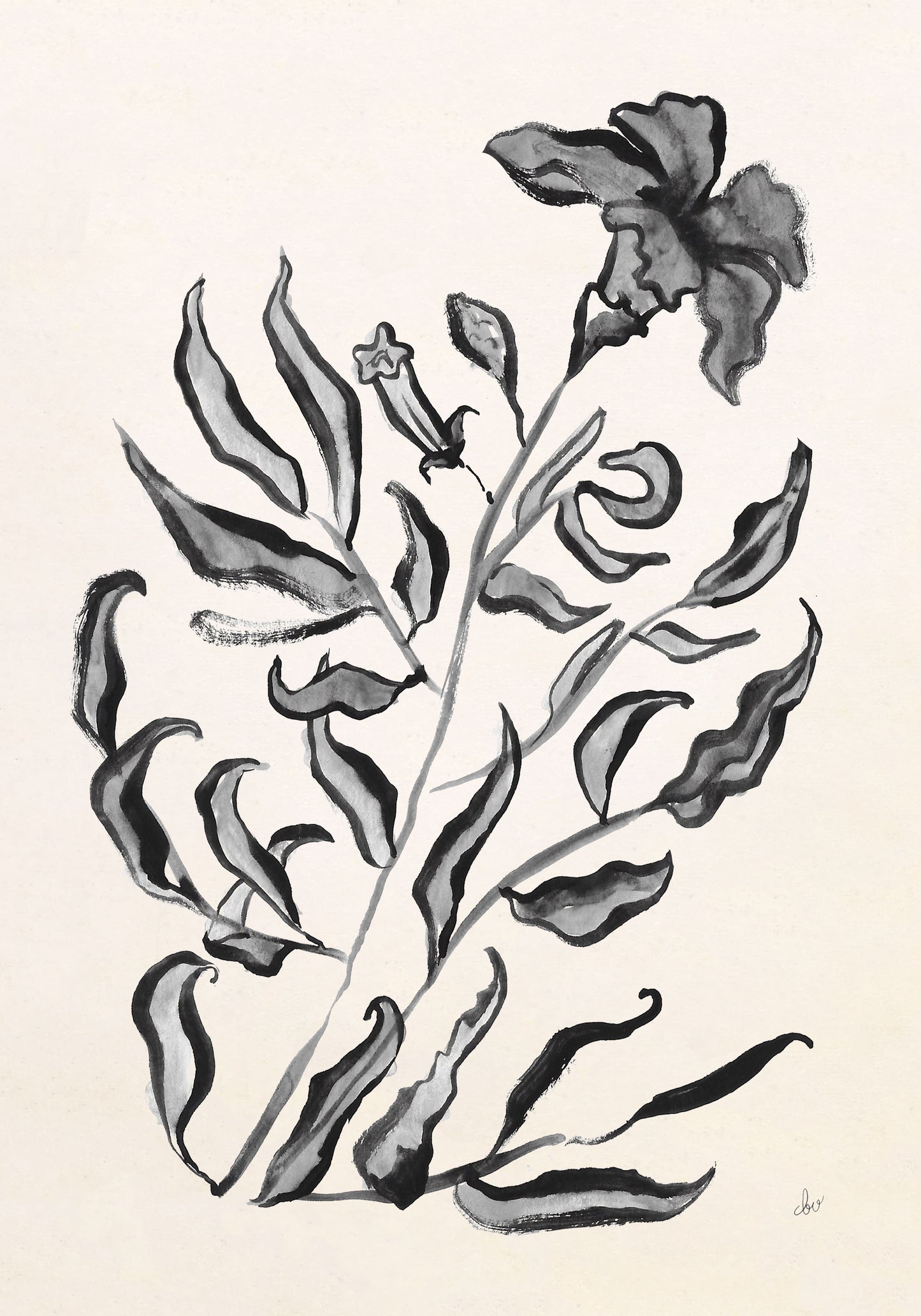 Black and white painting of a flowering plant with leaves.
