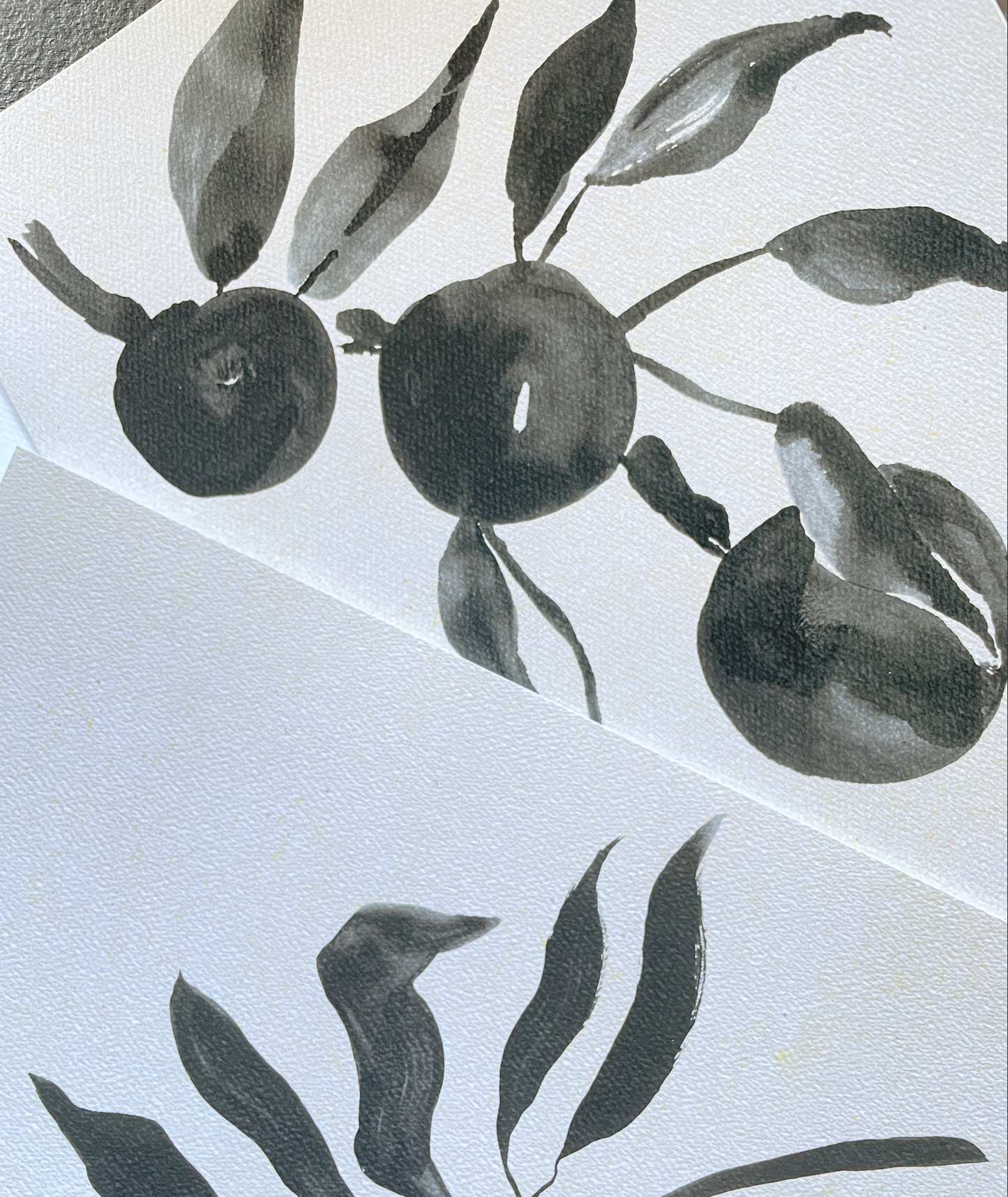 Black and white watercolor illustrations of circular fruits and leaves on textured paper.
