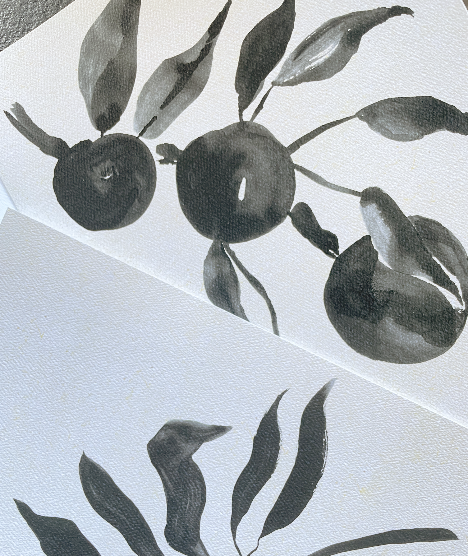 Black and white watercolor illustrations of circular fruits and leaves on textured paper.