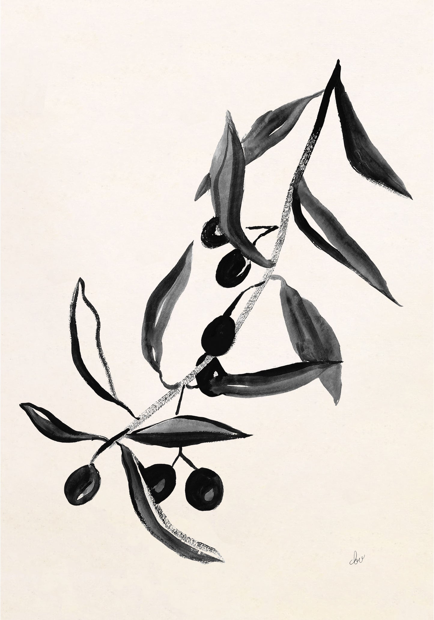 A monochromatic illustration of an olive branch with leaves and olives.