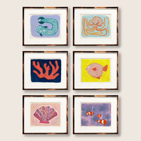 A grid of six framed illustrations featuring marine life and coral